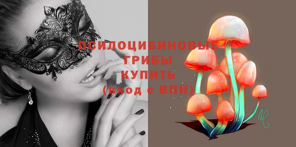 твердый Белокуриха