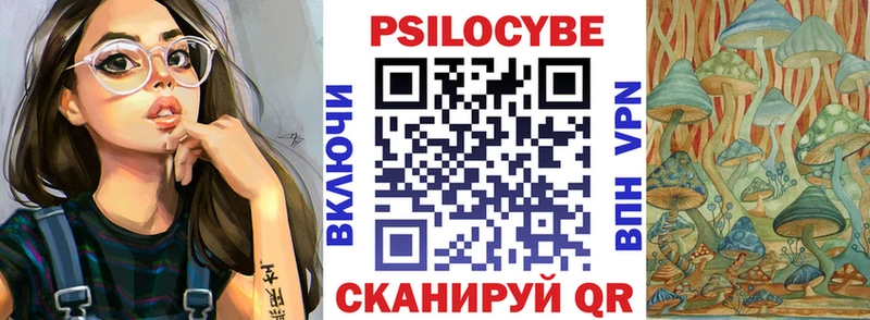 Галлюциногенные грибы Psilocybe  закладка  Абакан 